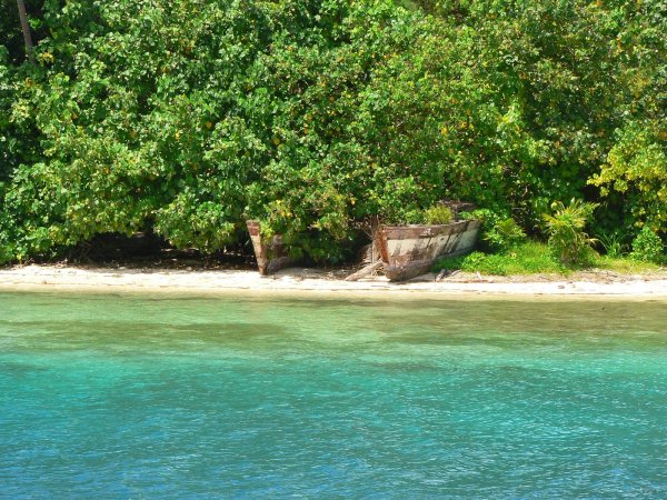 58- Epave de catamaran mangee par la vegetation 